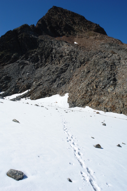 Luibiskogel von Südosten