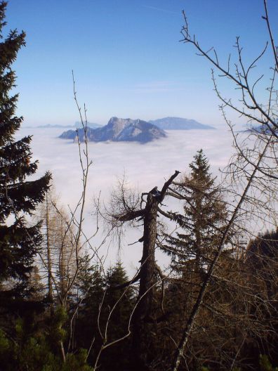 Ueber den Wolken